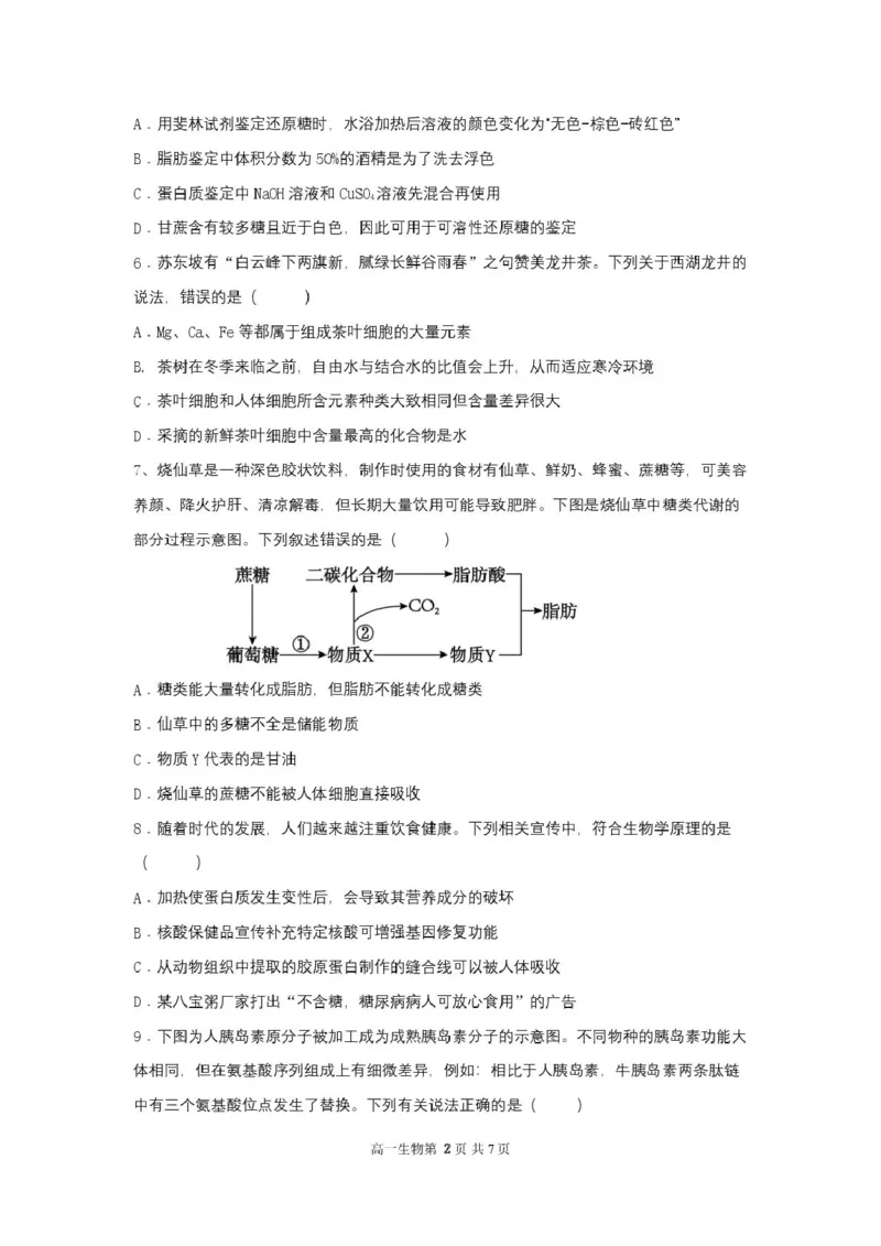 2025级高一生物试卷（印刷版）_2025年10月高一试卷_251027湖北省武汉市部分重点中学2025-2026学年高一上学期10月月考试题（全）
