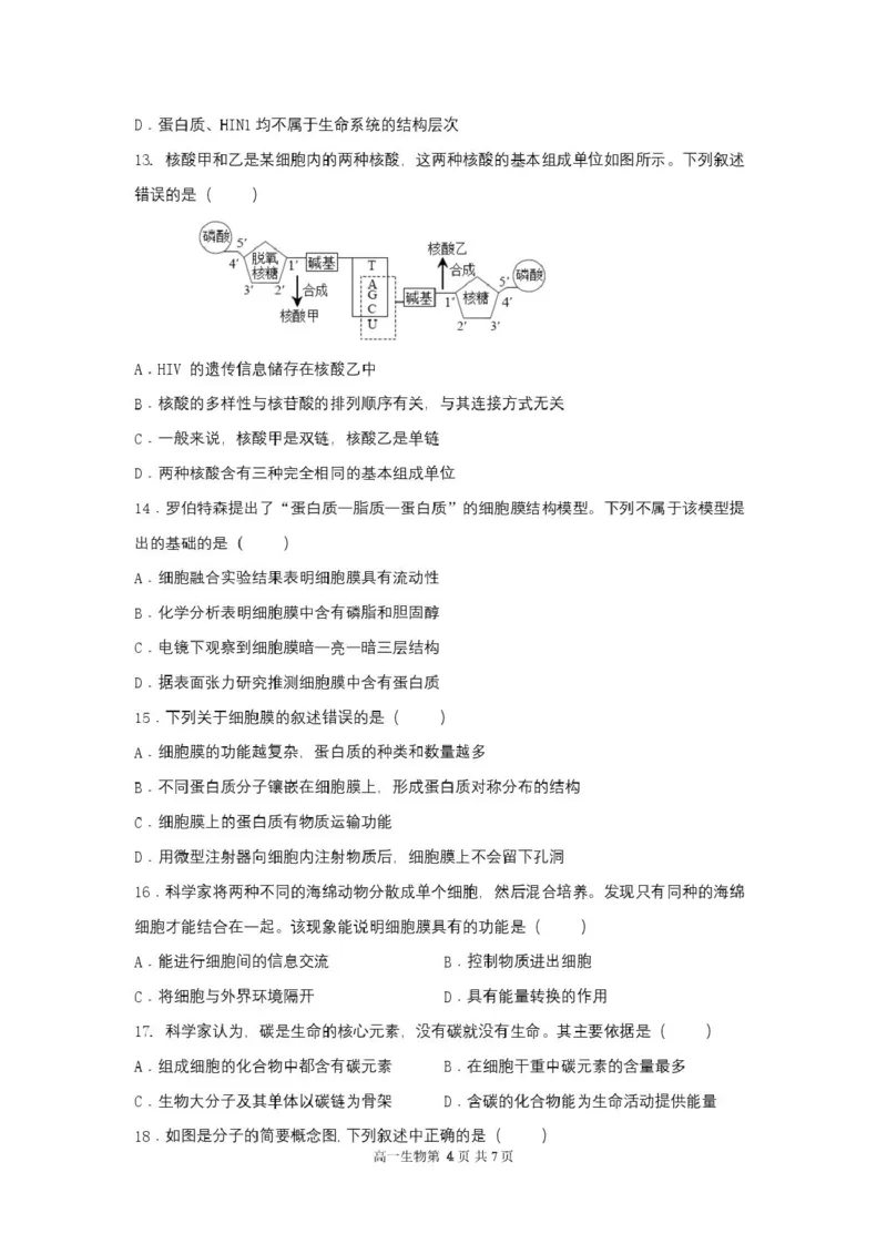 2025级高一生物试卷（印刷版）_2025年10月高一试卷_251027湖北省武汉市部分重点中学2025-2026学年高一上学期10月月考试题（全）