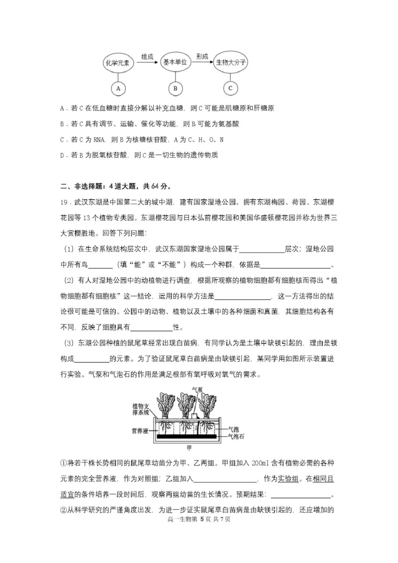 2025级高一生物试卷（印刷版）_2025年10月高一试卷_251027湖北省武汉市部分重点中学2025-2026学年高一上学期10月月考试题（全）