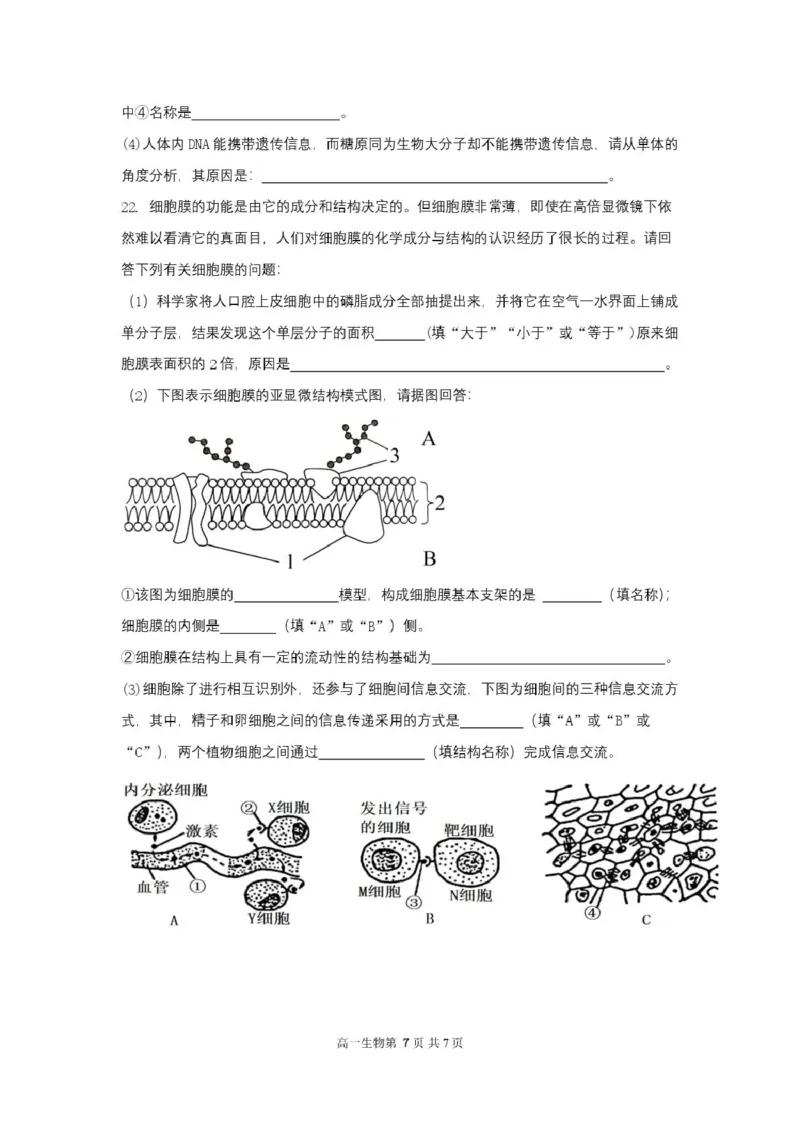 2025级高一生物试卷（印刷版）_2025年10月高一试卷_251027湖北省武汉市部分重点中学2025-2026学年高一上学期10月月考试题（全）