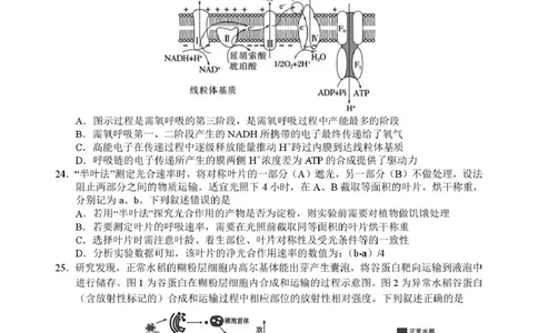 2503浙江省四校联考生物高一试卷_2025年04月试卷_0403浙江省四校联盟2024-2025学年高一下学期3月联考_浙江省四校2024-2025学年高一下学期3月联考生物试卷（扫描版有答案）