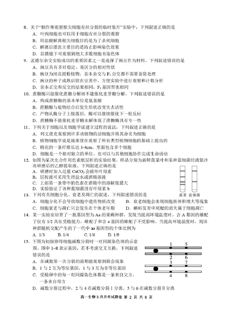 2503浙江省四校联考生物高一试卷_2025年04月试卷_0403浙江省四校联盟2024-2025学年高一下学期3月联考_浙江省四校2024-2025学年高一下学期3月联考生物试卷（扫描版有答案）