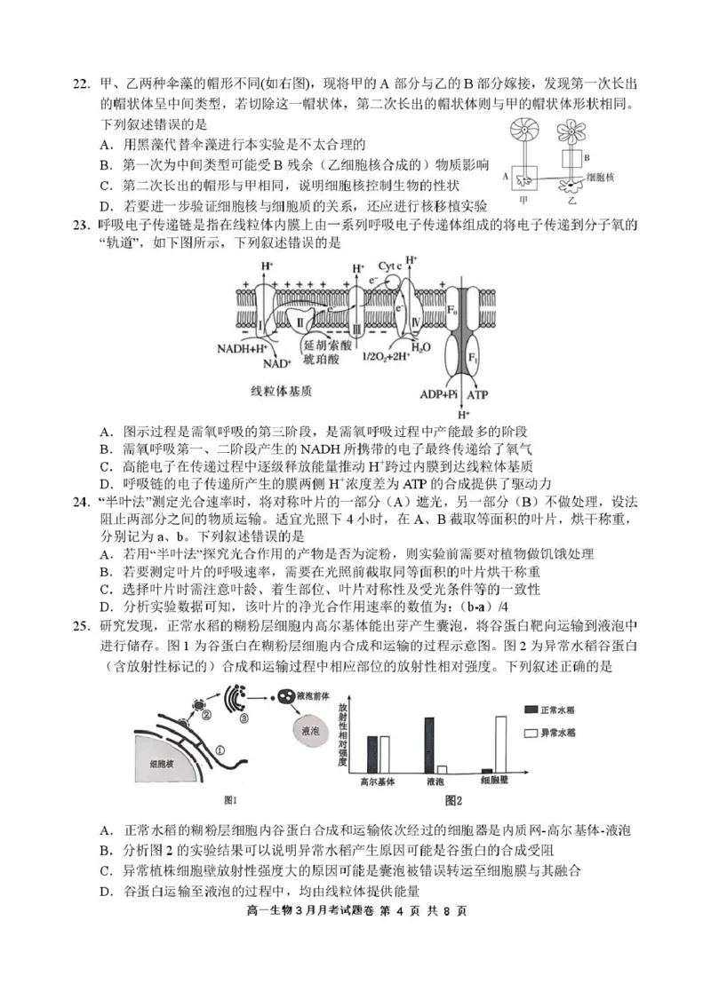 2503浙江省四校联考生物高一试卷_2025年04月试卷_0403浙江省四校联盟2024-2025学年高一下学期3月联考_浙江省四校2024-2025学年高一下学期3月联考生物试卷（扫描版有答案）