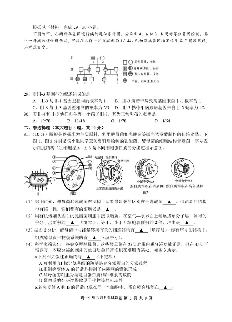 2503浙江省四校联考生物高一试卷_2025年04月试卷_0403浙江省四校联盟2024-2025学年高一下学期3月联考_浙江省四校2024-2025学年高一下学期3月联考生物试卷（扫描版有答案）