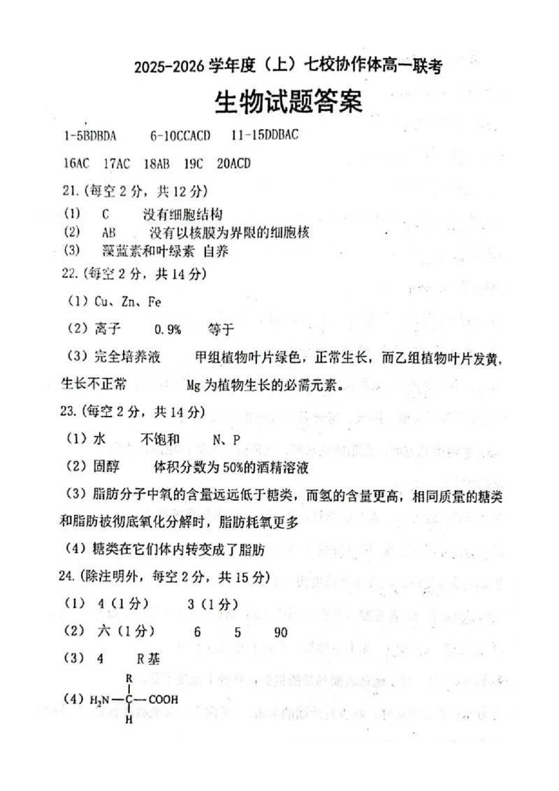 2025-2026学年度（上）七校协作体高一联考生物试题答案_2025年10月高一试卷_251014辽宁省七校协作体2025-2026学年高一上学期10月联考（全）