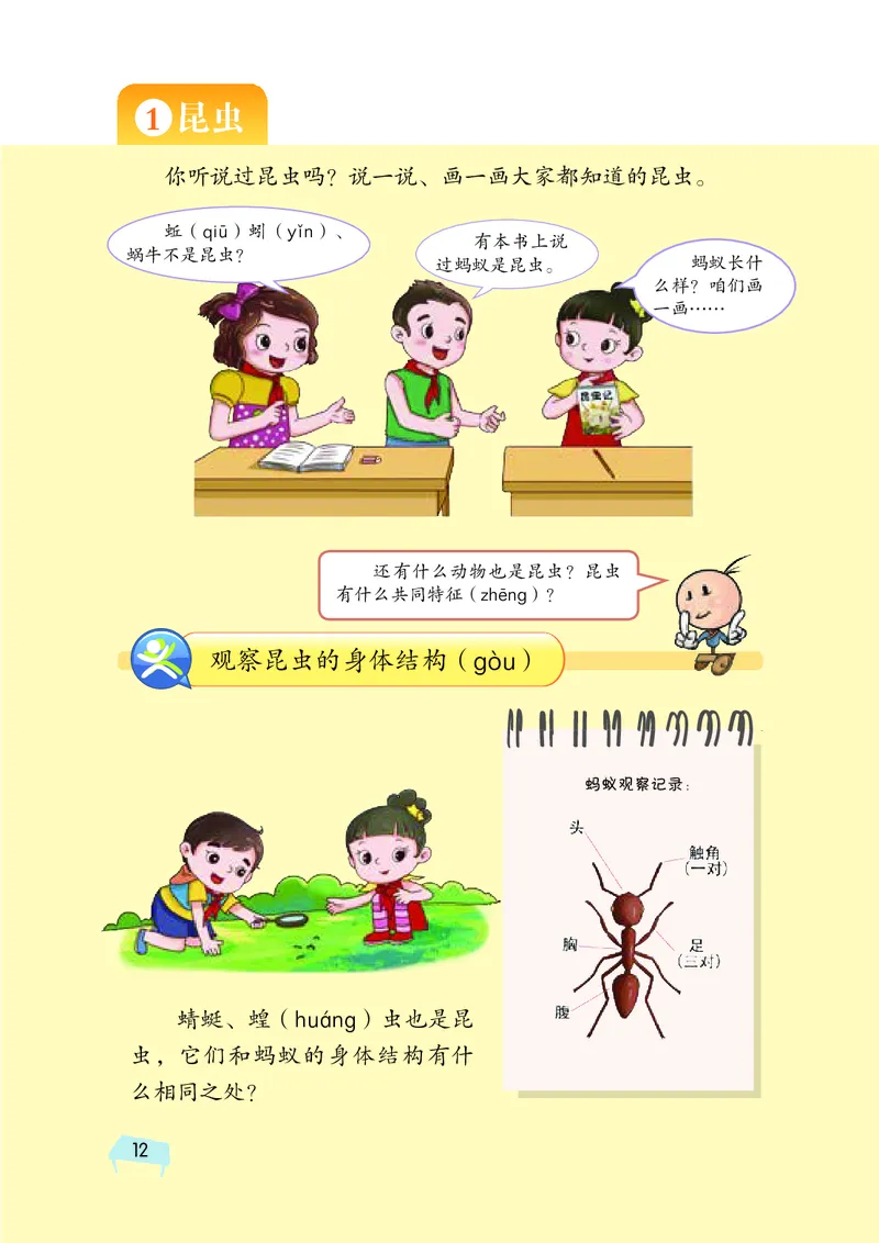 义务教育教科书&middot;科学三年级上册_电子课本_小学电子课本_05科学_湘科版