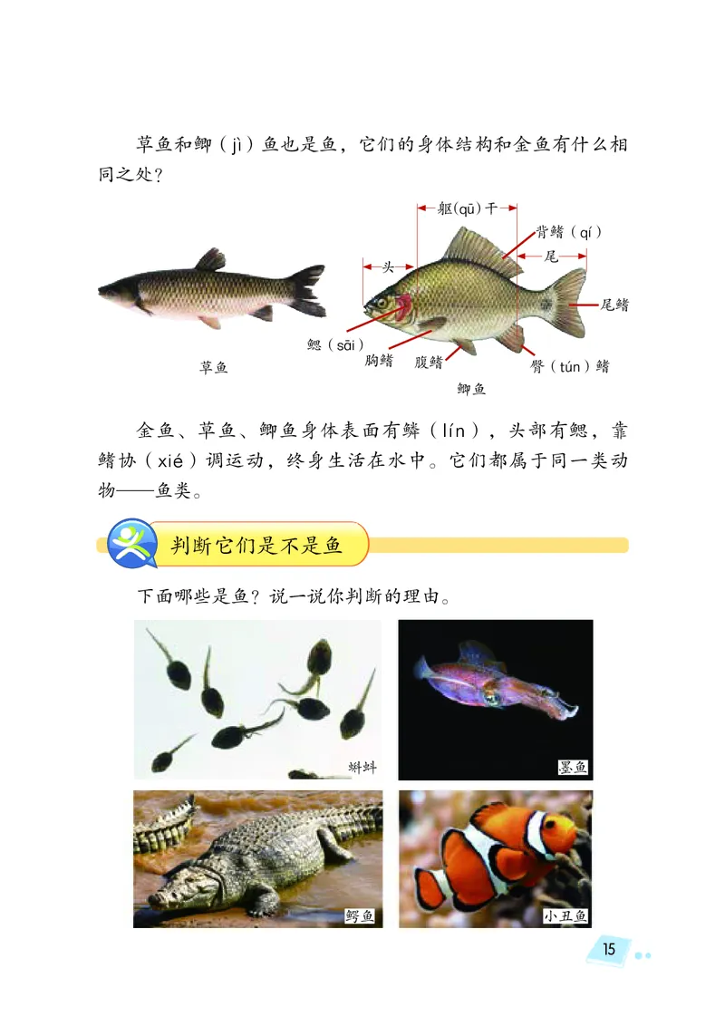 义务教育教科书&middot;科学三年级上册_电子课本_小学电子课本_05科学_湘科版