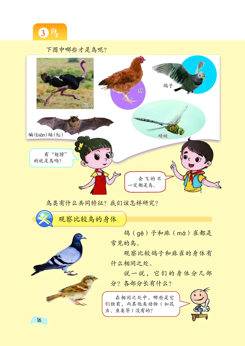 义务教育教科书&middot;科学三年级上册_电子课本_小学电子课本_05科学_湘科版