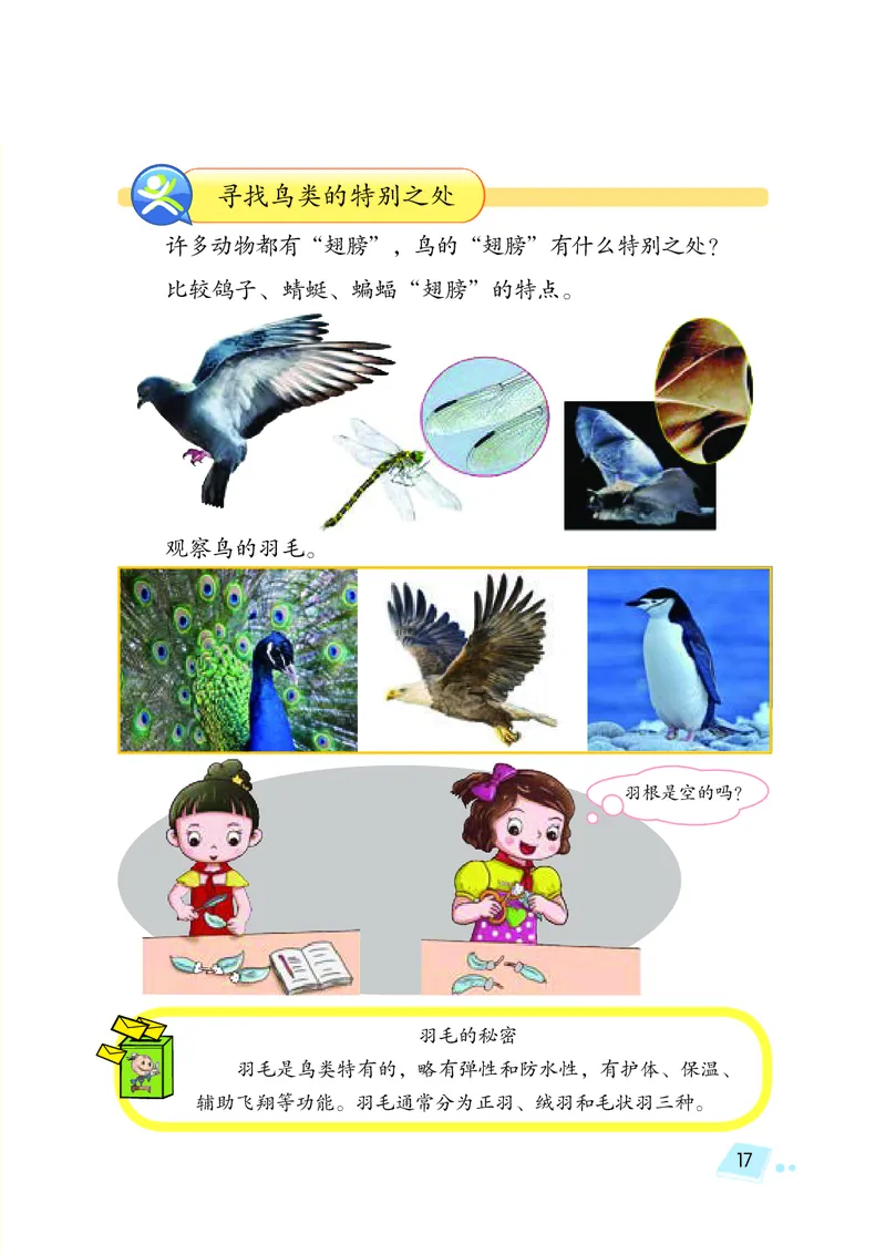 义务教育教科书&middot;科学三年级上册_电子课本_小学电子课本_05科学_湘科版