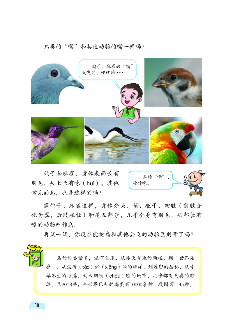 义务教育教科书&middot;科学三年级上册_电子课本_小学电子课本_05科学_湘科版