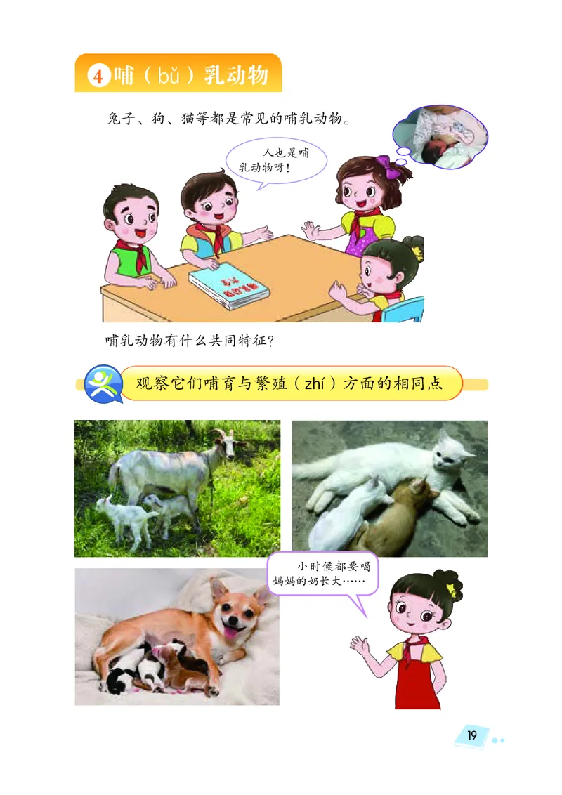 义务教育教科书&middot;科学三年级上册_电子课本_小学电子课本_05科学_湘科版