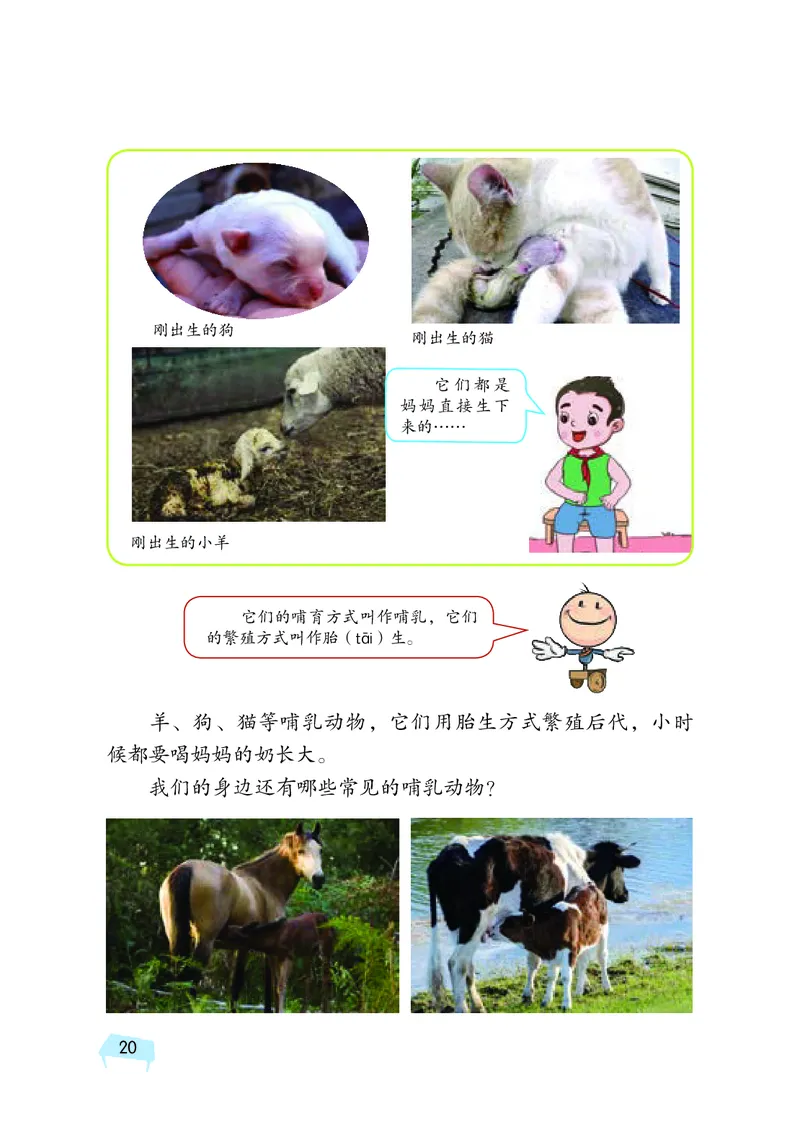 义务教育教科书&middot;科学三年级上册_电子课本_小学电子课本_05科学_湘科版