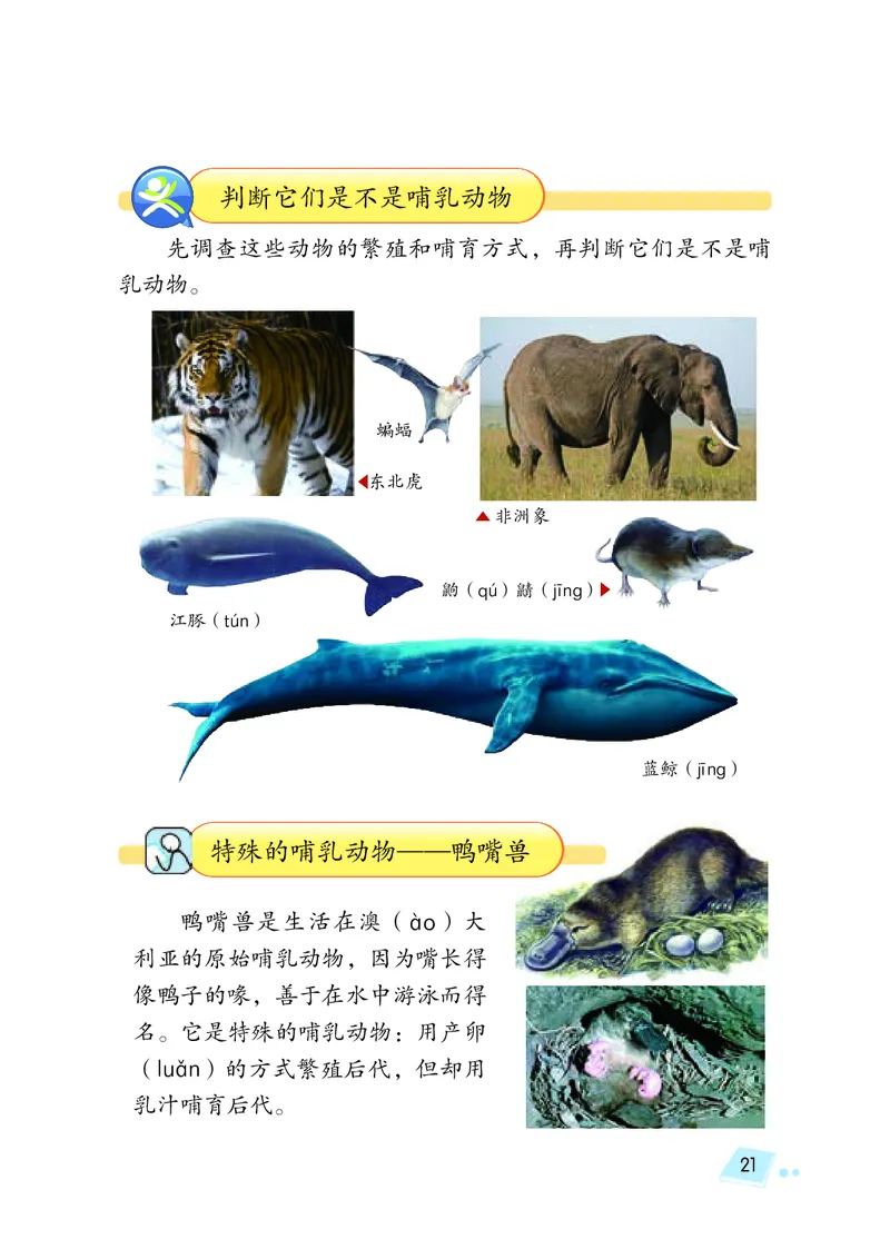 义务教育教科书&middot;科学三年级上册_电子课本_小学电子课本_05科学_湘科版