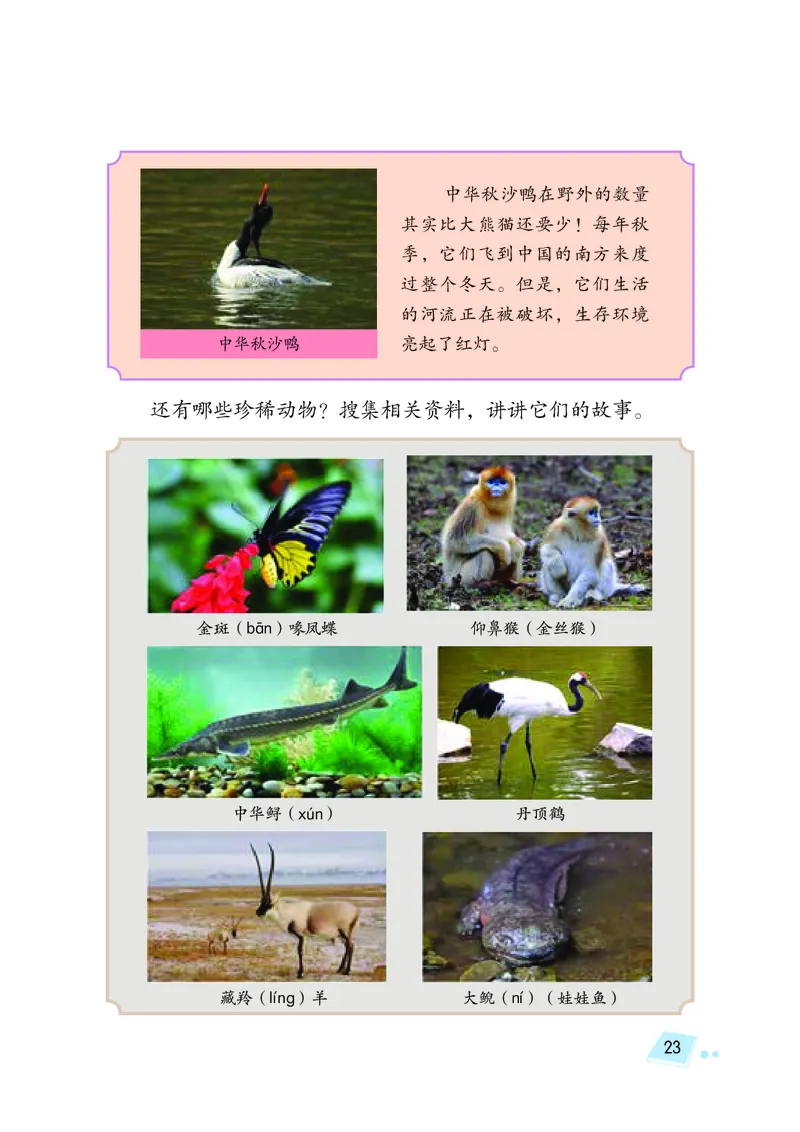 义务教育教科书&middot;科学三年级上册_电子课本_小学电子课本_05科学_湘科版