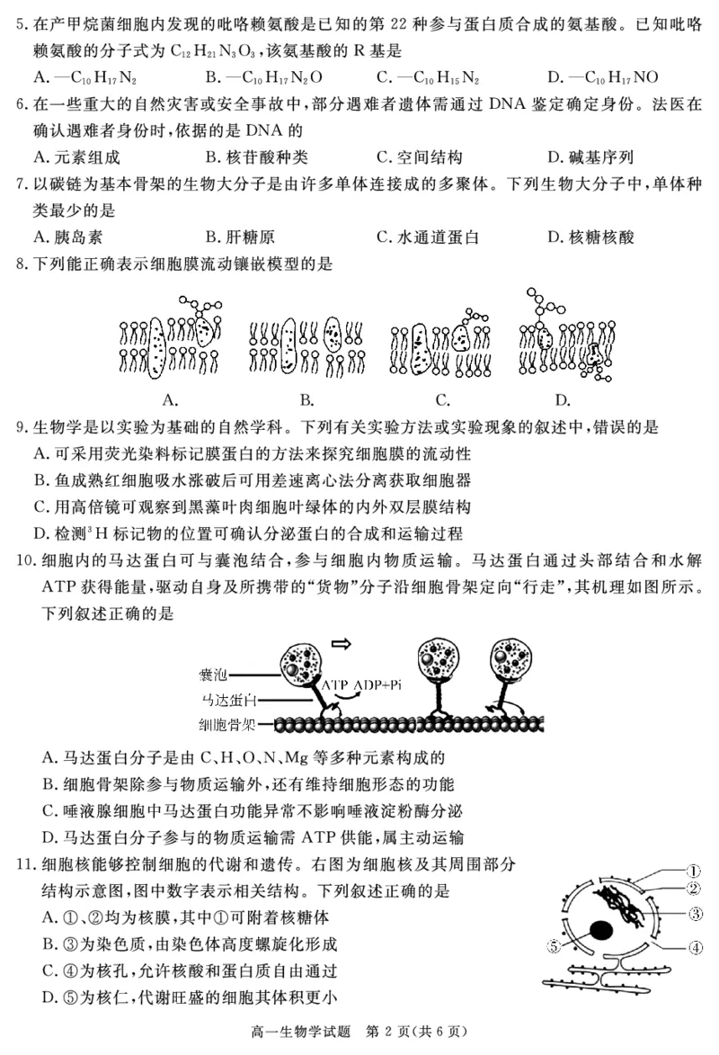 SN2027届地区期末生物_2025年01月试卷_0119四川省遂宁市2024-2025学年高一上学期期末_四川省遂宁市2024-2025学年高一上学期期末生物试题PDF版含解析