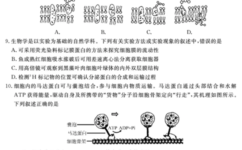 SN2027届地区期末生物_2025年01月试卷_0119四川省遂宁市2024-2025学年高一上学期期末_四川省遂宁市2024-2025学年高一上学期期末生物试题PDF版含解析