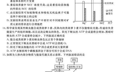 SN2027届地区期末生物_2025年01月试卷_0119四川省遂宁市2024-2025学年高一上学期期末_四川省遂宁市2024-2025学年高一上学期期末生物试题PDF版含解析