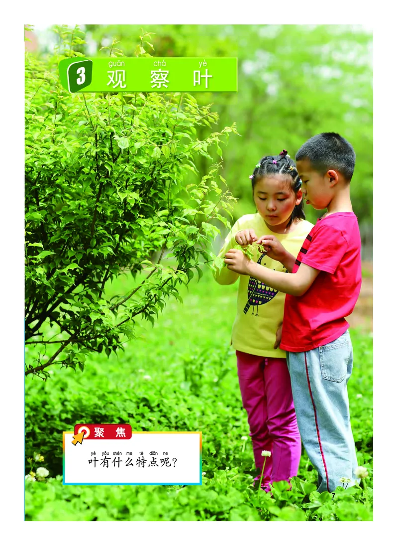 义务教育教科书&middot;科学一年级上册_电子课本_小学电子课本_05科学_教科版