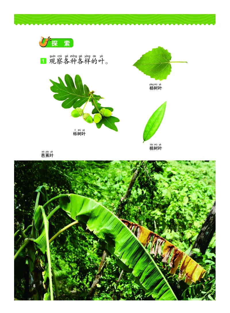 义务教育教科书&middot;科学一年级上册_电子课本_小学电子课本_05科学_教科版