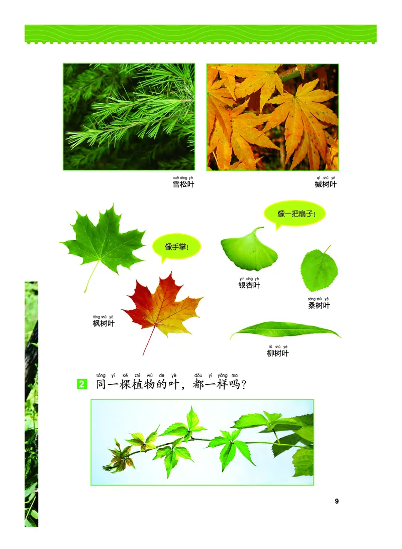 义务教育教科书&middot;科学一年级上册_电子课本_小学电子课本_05科学_教科版