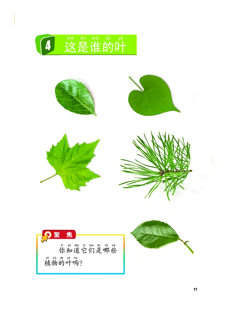 义务教育教科书&middot;科学一年级上册_电子课本_小学电子课本_05科学_教科版