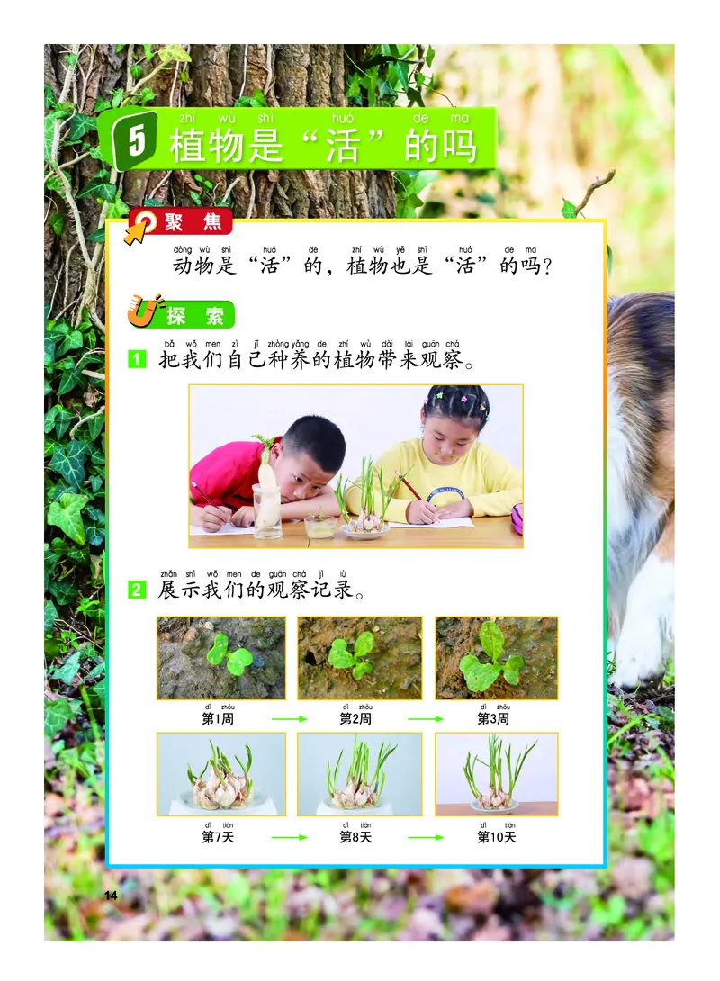 义务教育教科书&middot;科学一年级上册_电子课本_小学电子课本_05科学_教科版