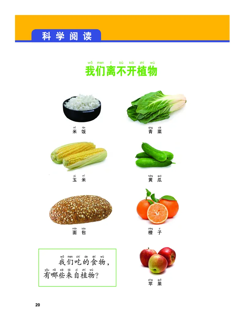 义务教育教科书&middot;科学一年级上册_电子课本_小学电子课本_05科学_教科版