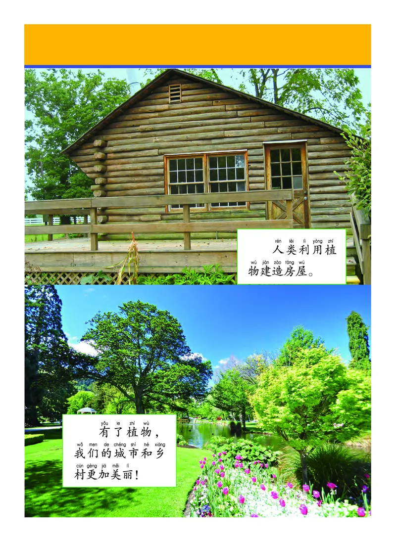 义务教育教科书&middot;科学一年级上册_电子课本_小学电子课本_05科学_教科版