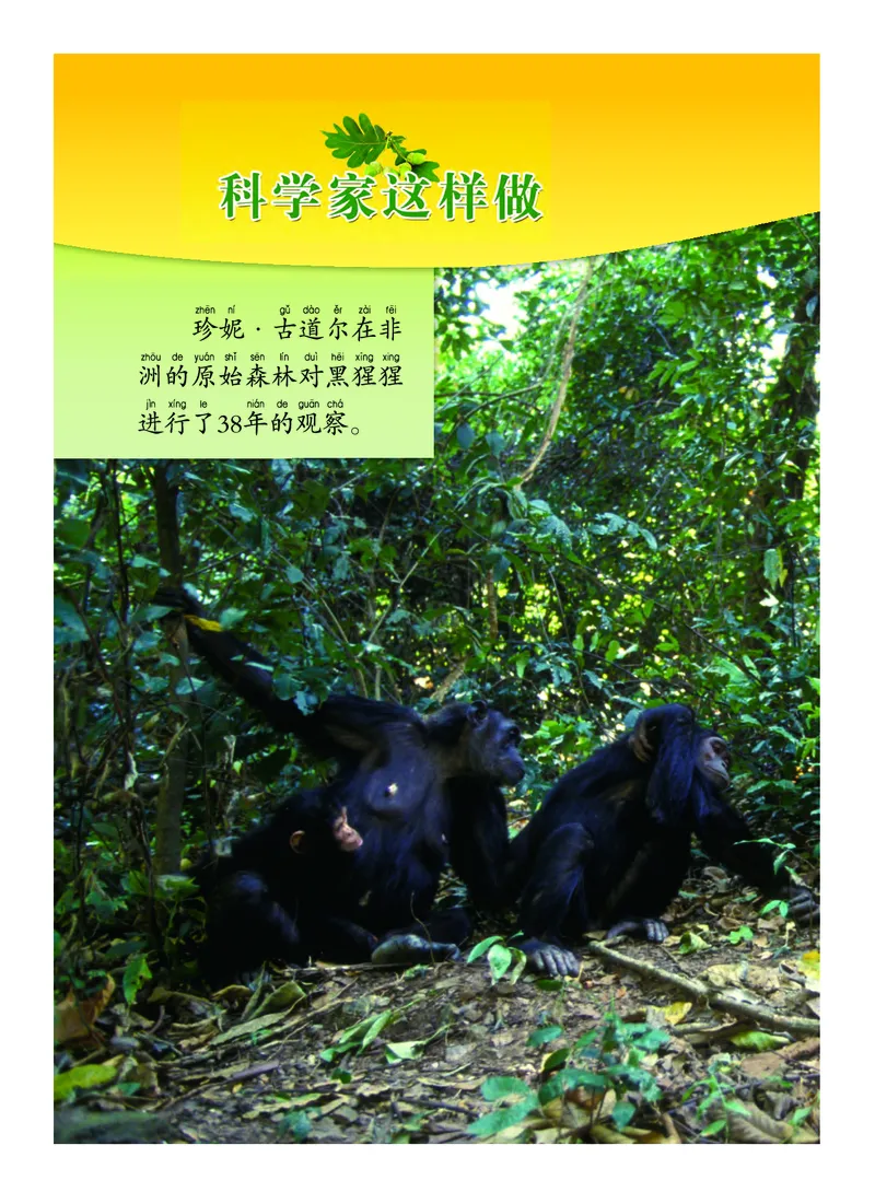 义务教育教科书&middot;科学一年级上册_电子课本_小学电子课本_05科学_教科版