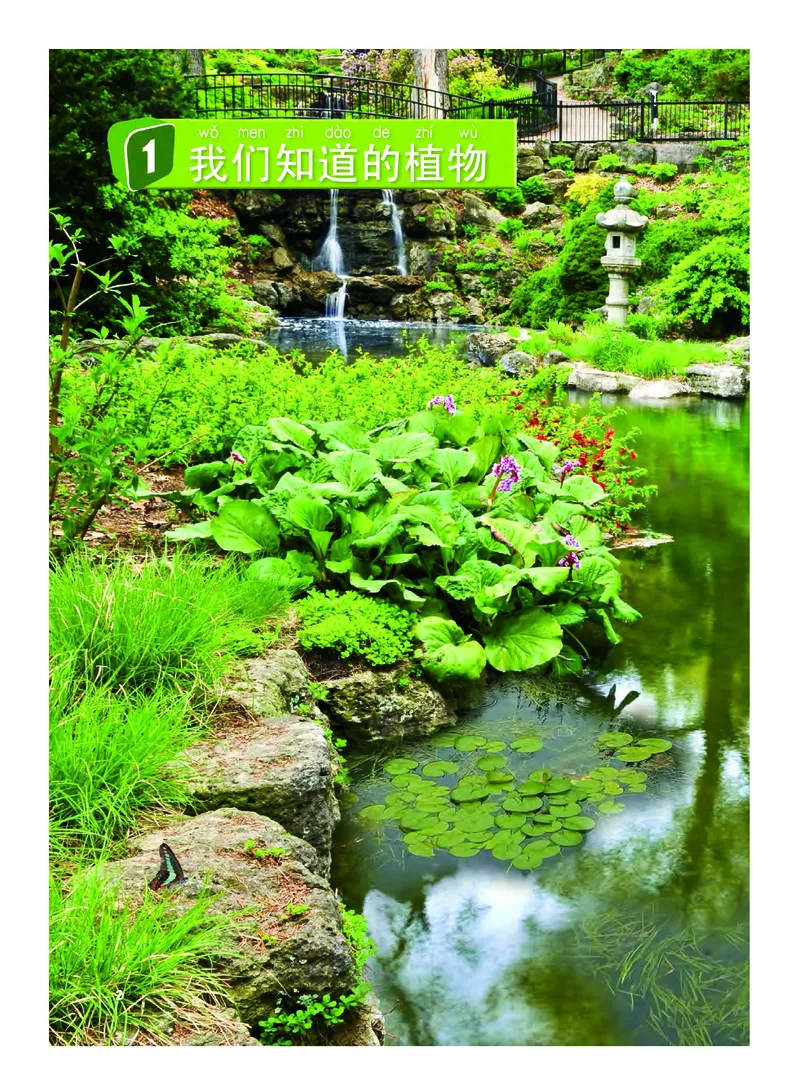 义务教育教科书&middot;科学一年级上册_电子课本_小学电子课本_05科学_教科版