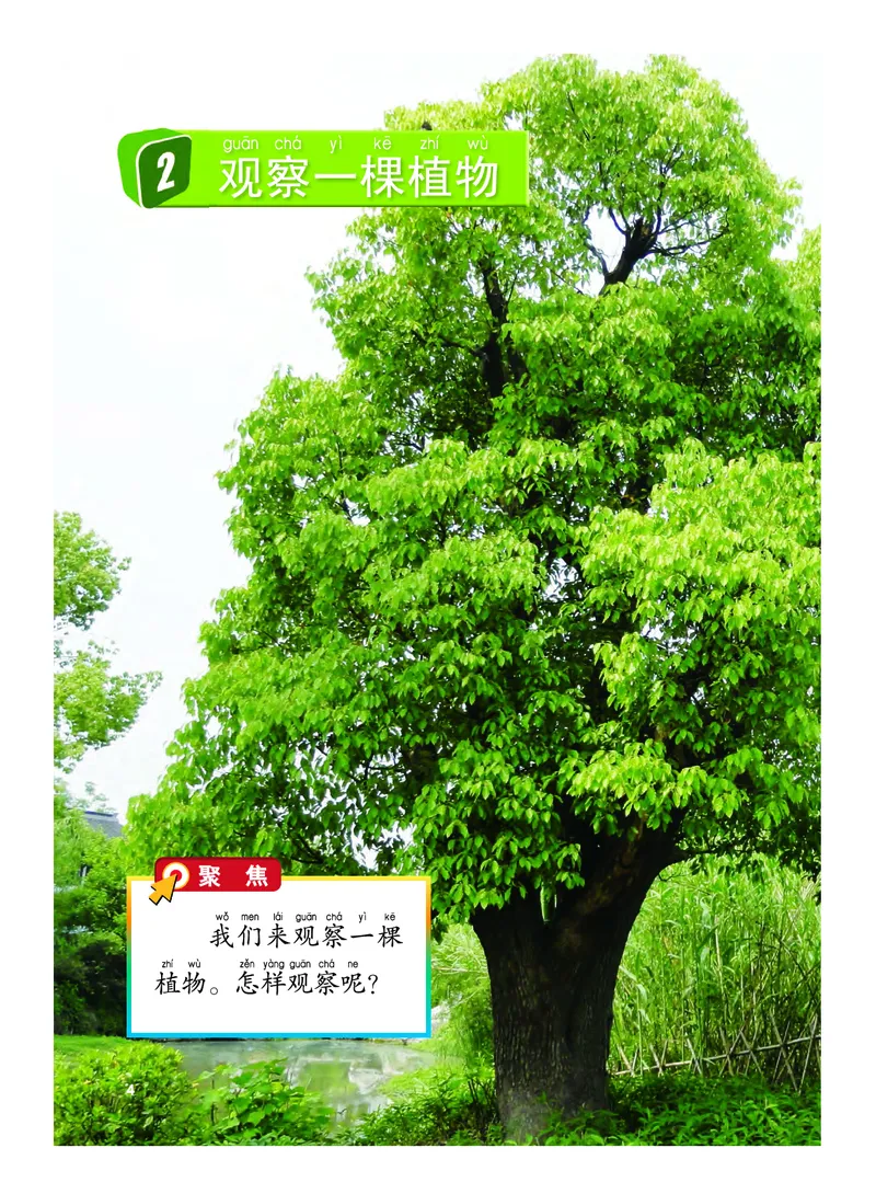 义务教育教科书&middot;科学一年级上册_电子课本_小学电子课本_05科学_教科版