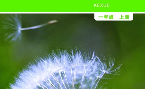 义务教育教科书&middot;科学一年级上册_电子课本_小学电子课本_05科学_教科版