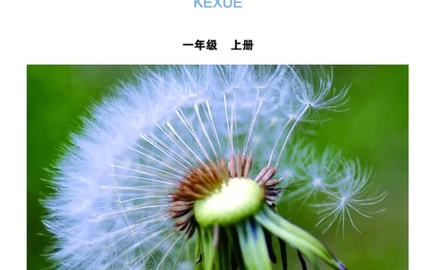 义务教育教科书&middot;科学一年级上册_电子课本_小学电子课本_05科学_教科版