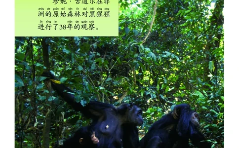 义务教育教科书&middot;科学一年级上册_电子课本_小学电子课本_05科学_教科版