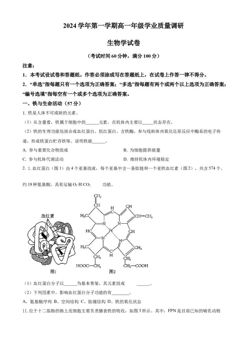 上海市闵行区2024-2025学年高一上学期期末生物试题Word版无答案_2025年03月试卷_0311上海市闵行区2024-2025学年高一上学期期末考试