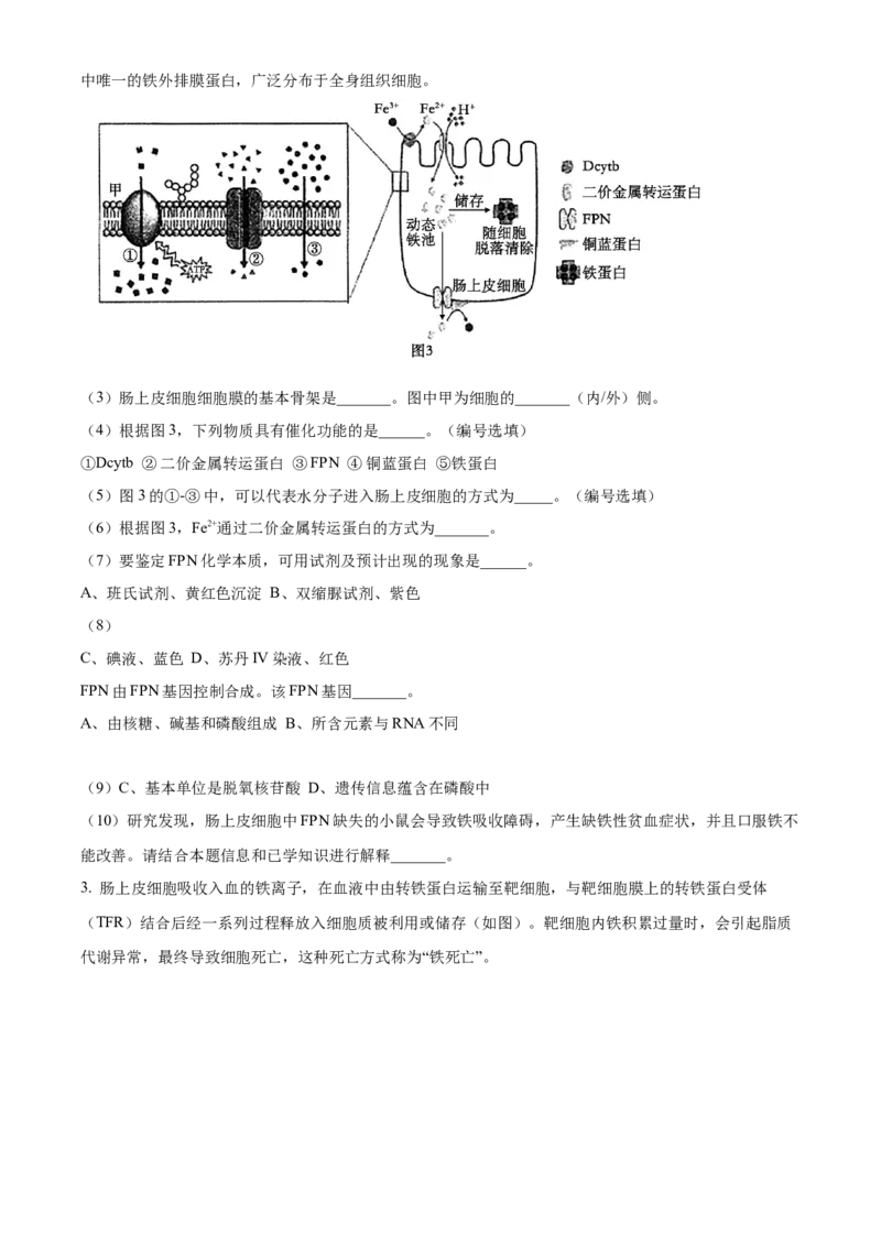 上海市闵行区2024-2025学年高一上学期期末生物试题Word版无答案_2025年03月试卷_0311上海市闵行区2024-2025学年高一上学期期末考试