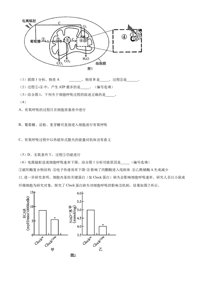 上海市闵行区2024-2025学年高一上学期期末生物试题Word版无答案_2025年03月试卷_0311上海市闵行区2024-2025学年高一上学期期末考试