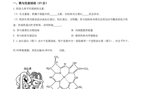 上海市闵行区2024-2025学年高一上学期期末生物试题Word版无答案_2025年03月试卷_0311上海市闵行区2024-2025学年高一上学期期末考试