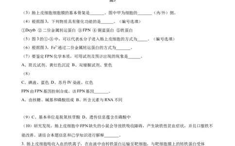上海市闵行区2024-2025学年高一上学期期末生物试题Word版无答案_2025年03月试卷_0311上海市闵行区2024-2025学年高一上学期期末考试