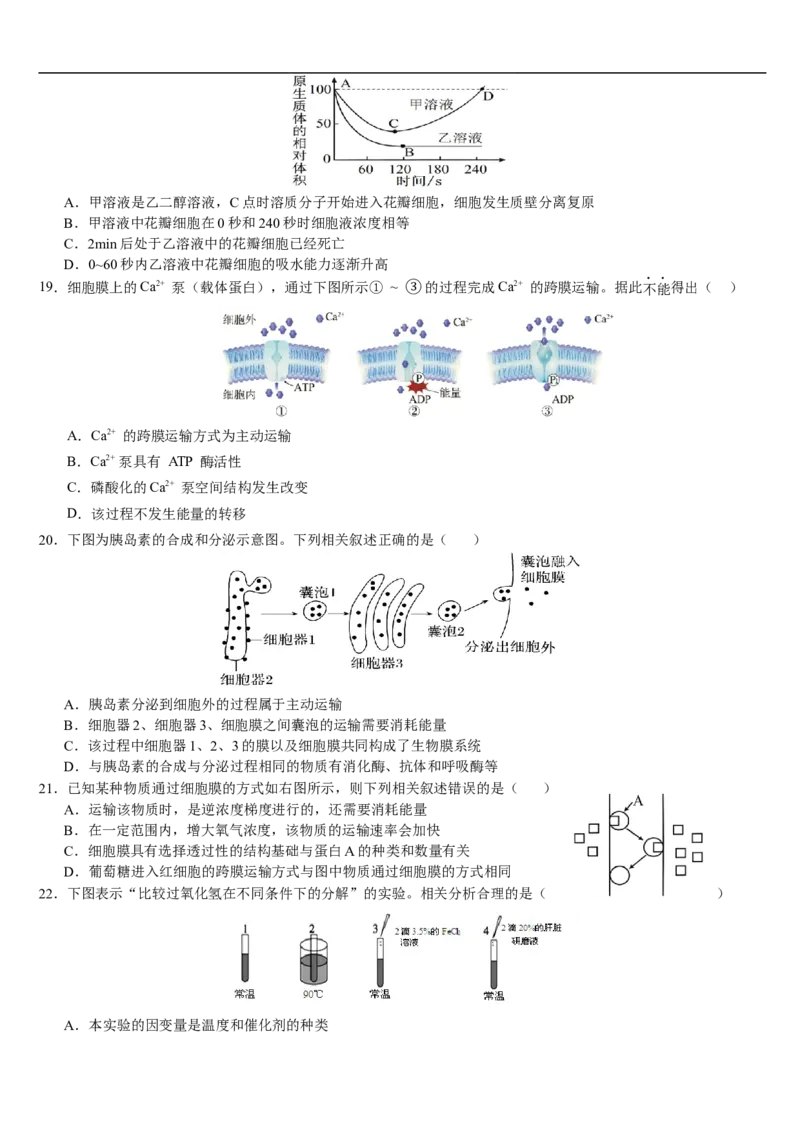 云南省文山壮族苗族自治州文山市第一中学2025-2026学年高一上学期12月月考生物试题_2026年01月高一试卷