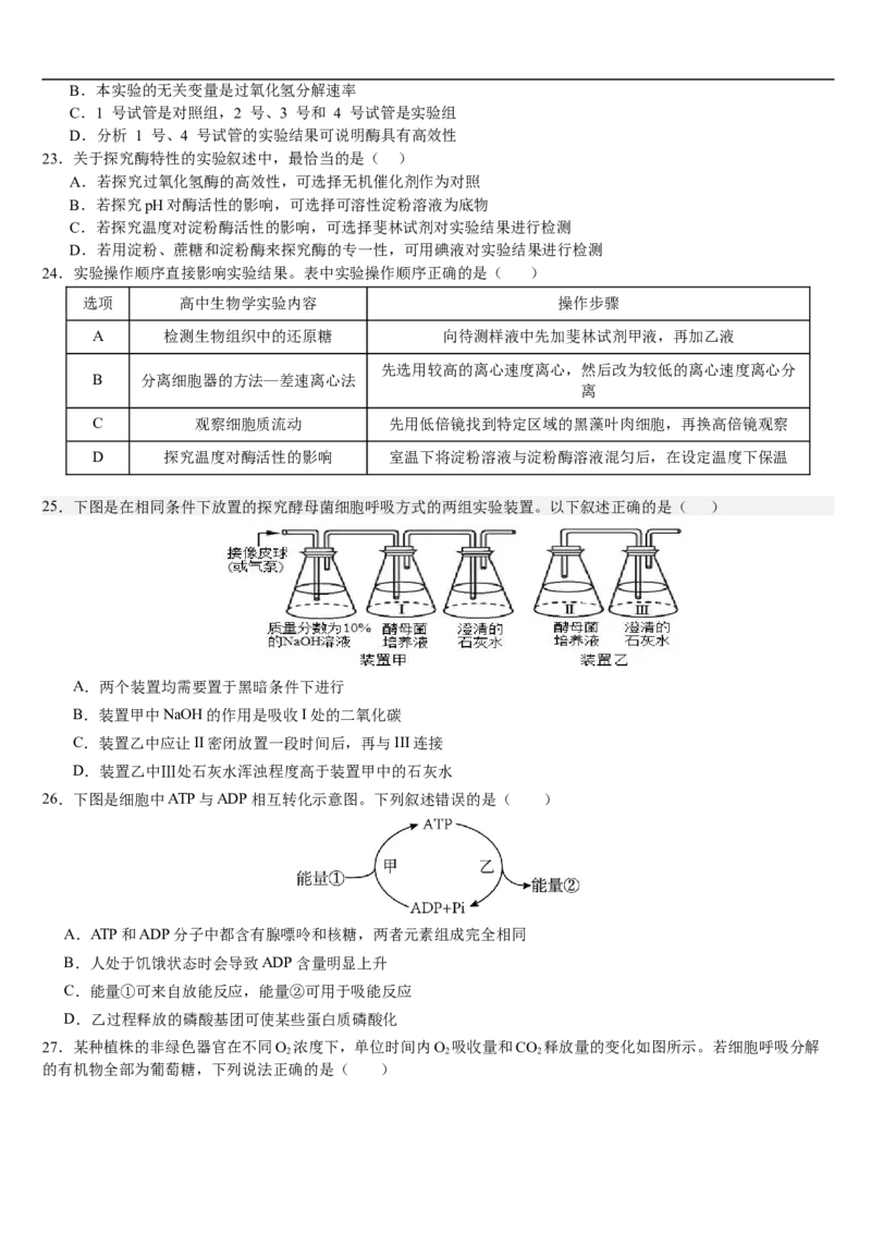 云南省文山壮族苗族自治州文山市第一中学2025-2026学年高一上学期12月月考生物试题_2026年01月高一试卷