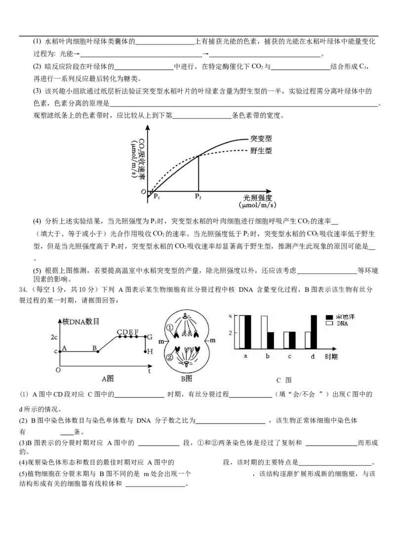云南省文山壮族苗族自治州文山市第一中学2025-2026学年高一上学期12月月考生物试题_2026年01月高一试卷
