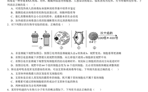 云南省文山壮族苗族自治州文山市第一中学2025-2026学年高一上学期12月月考生物试题_2026年01月高一试卷