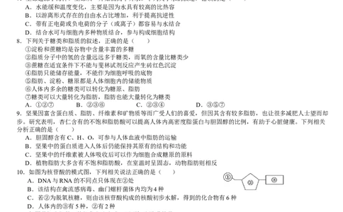 云南省文山壮族苗族自治州文山市第一中学2025-2026学年高一上学期12月月考生物试题_2026年01月高一试卷