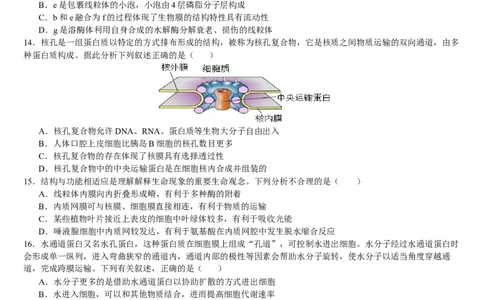 云南省文山壮族苗族自治州文山市第一中学2025-2026学年高一上学期12月月考生物试题_2026年01月高一试卷