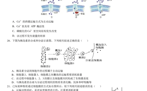 云南省文山壮族苗族自治州文山市第一中学2025-2026学年高一上学期12月月考生物试题_2026年01月高一试卷
