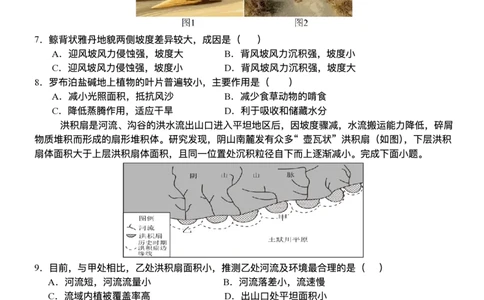 55841265-山东省泰安第一中学青年路校区2025-2026学年高一上学期1月诊断性测试地理试题_2026年01月高一试卷_260118山东省泰安市第一中学（青年路校区）2025-2026学年高一上学期1月诊断性测试