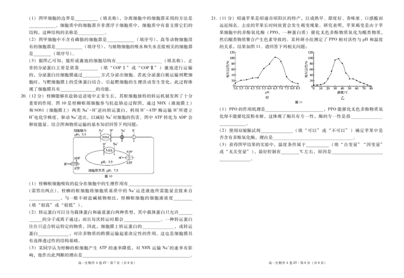 云南省昭通一中教研联盟2025-2026学年高一上学期期中考试生物（A）试卷（PDF版）_2025年12月高一试卷_251218云南省昭通一中教研联盟2025-2026学年高一上学期期中考试（A）（B）试卷