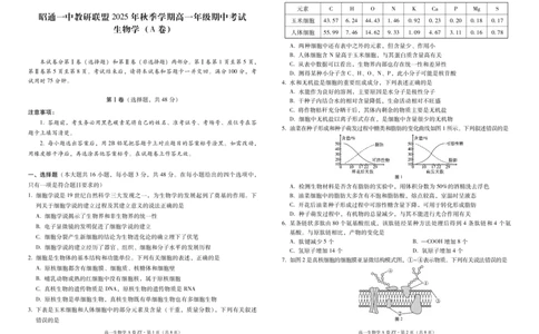 云南省昭通一中教研联盟2025-2026学年高一上学期期中考试生物（A）试卷（PDF版）_2025年12月高一试卷_251218云南省昭通一中教研联盟2025-2026学年高一上学期期中考试（A）（B）试卷