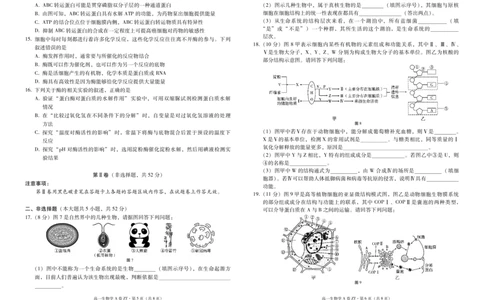 云南省昭通一中教研联盟2025-2026学年高一上学期期中考试生物（A）试卷（PDF版）_2025年12月高一试卷_251218云南省昭通一中教研联盟2025-2026学年高一上学期期中考试（A）（B）试卷